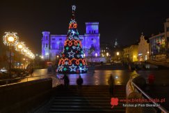 Dziś rozbłyśnie największa choinka w mieście