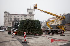 Rośnie wielka choinka na placu Chrobrego