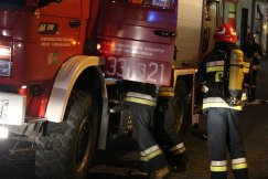 Strażacy odnaleźli martwe psy i kota