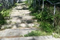 Służby miejskie nie nadążają ze sprzątaniem?