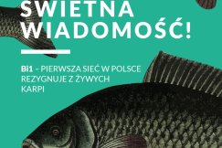 Pierwsza sieć zrezygnowała z żywych karpi