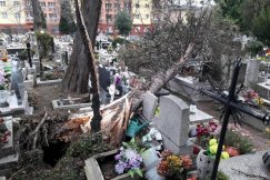 Halny spustoszył cmentarz. Duże straty - foto