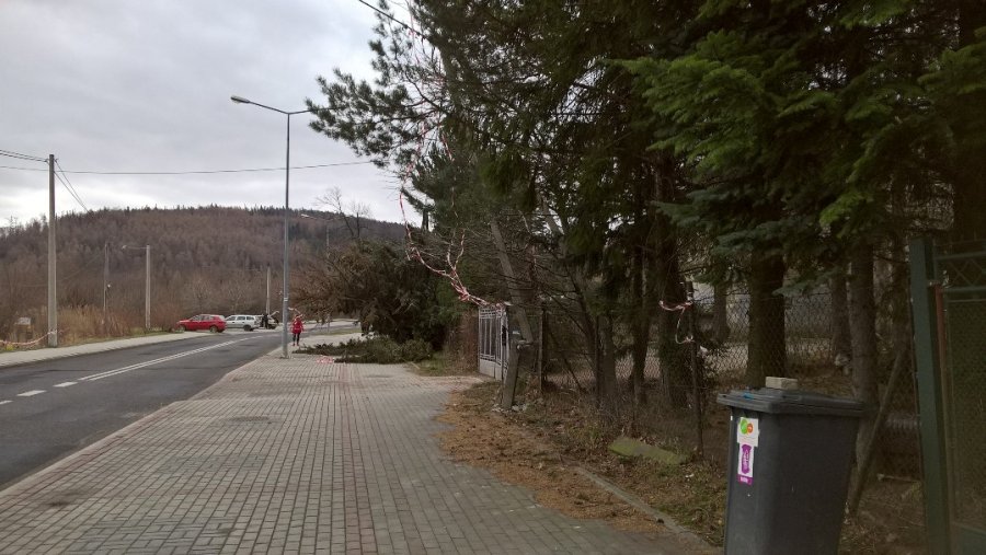 Tauron robi co może. Apel z ul. Karbowej - foto