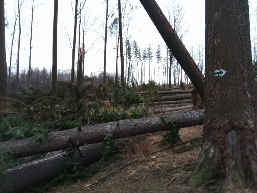 Gigantyczne straty. Koszmarny obraz po halnym