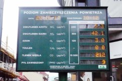 Kombinują z mułem i flotem. Handel kwitnie!