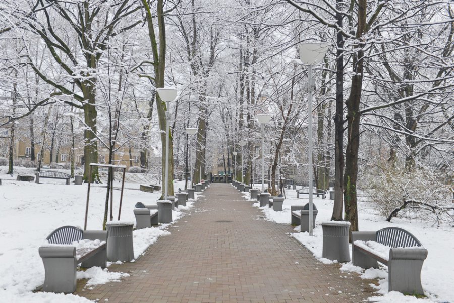 Bielsko-Biała chwilowo na biało - foto