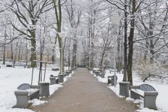 Bielsko-Biała chwilowo na biało - foto