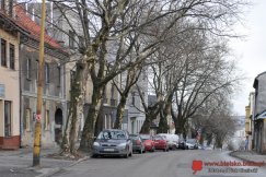 Trwa wycinka alei starych platanów w centrum - foto