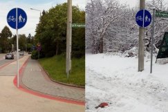 Aplikacja działa. Po pięciu latach wzięli się do pracy - foto