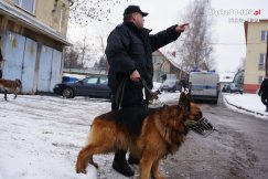 Pies uratował kobietę przed zamarznięciem - foto
