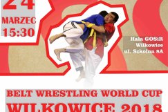 Wrestling w gminie. Wielkie emocje kończą się przed czasem