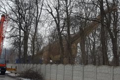 Największy dinozaur na świecie w pobliżu Bielska-Białej - foto