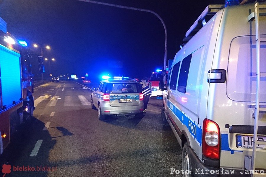 Groźny wypadek na Kamienickiej. Rowerzysta najechał na psa