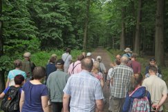 Tajemnice Cygańskiego Lasu. Początek sezonu bezpłatnych wycieczek
