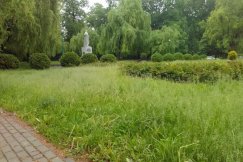 Trawa po kolana! Tak wygląda park w centrum miasta - foto