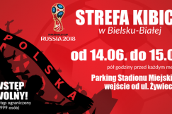 Ustawiają wielki telebim obok stadionu. Powstaną trzy strefy