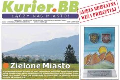 Bajka o idealnym królu, którego niedługo sobie wybierzemy