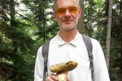 Wysyp grzybów w Straconce. 400-gramowy prawdziwek! - foto