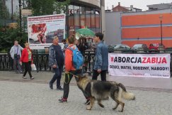 Pikieta w centrum Bielska-Białej. Pokazali drastyczne banery - foto