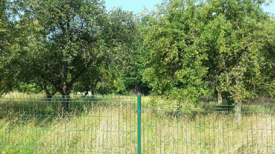 W Kamienicy nie chcą kolejnego dewelopera. Protest przybiera na sile