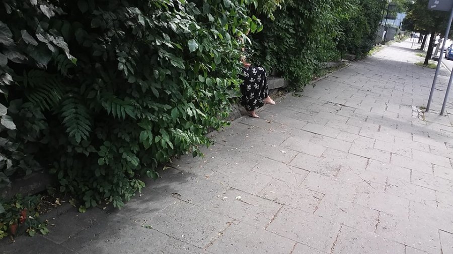 Śladami bialskiej perełki, czyli licha tablica w trawie