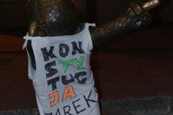 Reksio ubrany w koszulkę. Przebrali go członkowie KOD - foto