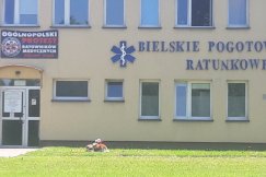 Wszyscy ratownicy nagle zachorują? Nie mają nic do stracenia!