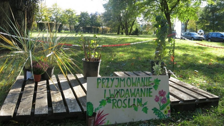 Schronisko dla roślin w Bielsku-Białej? Prezydent jest sceptyczny