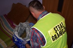 Straż Graniczna ujawniła ponad 240 gramów marihuany