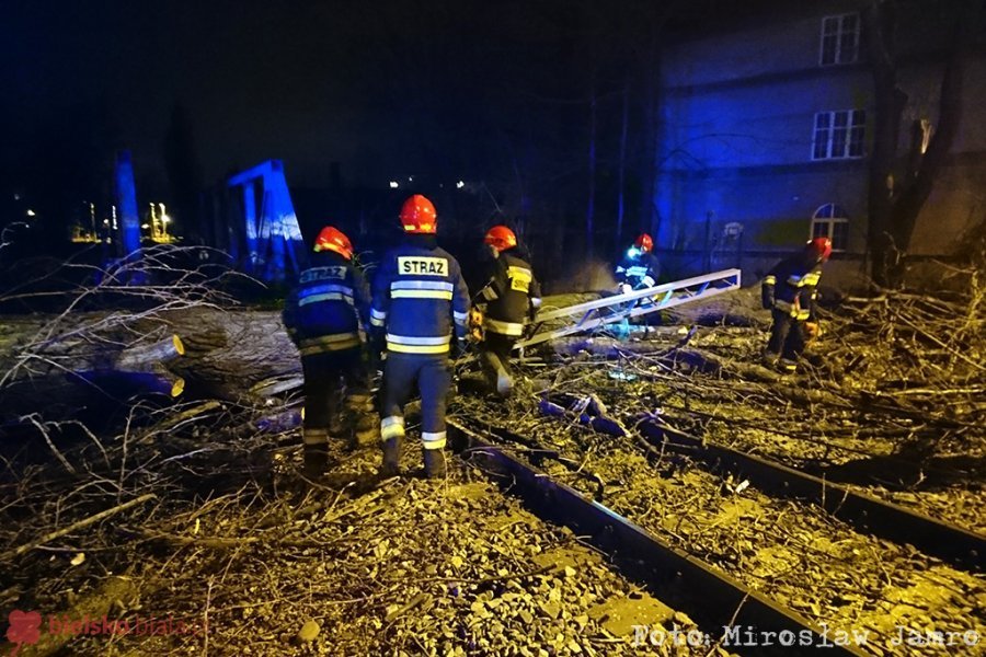Zapowiadają niebezpieczną noc. Lepiej nie parkować pod drzewami!