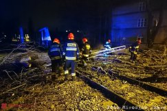 Zapowiadają niebezpieczną noc. Lepiej nie parkować pod drzewami!
