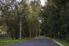 Mówią, że to najładniejsza ścieżka rowerowa w Bielsku-Białej - foto