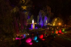Niezwykła iluminacja w Parku Włókniarzy. Kolory robią wrażenie! - ZDJĘCIA