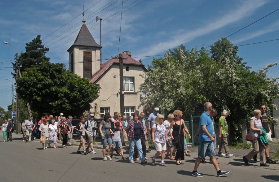 Zaczęło się od barbarzyńskiego wyburzenia w Cygańskim Lesie