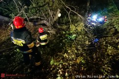 Drzewo zatarasowało linię kolejową. Strażacy mają pełne ręce roboty! - foto