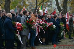 Pokazy laserów, prezentacja broni. Setki imprez na 100-lecie Niepodległej