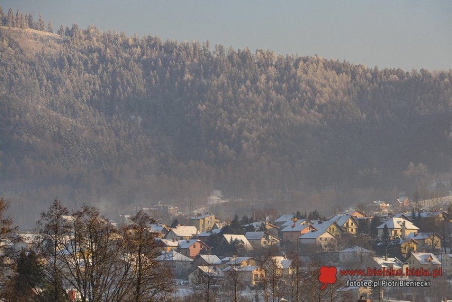 Bielsko-Biała na szczycie klimatycznym. Pokażemy, jak chronić klimat
