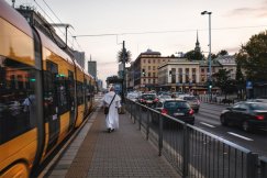 Langusta na palmie. Fenomen zakonnika, który ma gadane