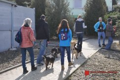 Dość konfliktów w „Reksiu”. „Wolontariusze nie są bandą oszołomów”