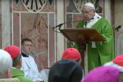 Sprawa pedofilii. Delegat ds. Ochrony Dzieci i Młodzieży w diecezji