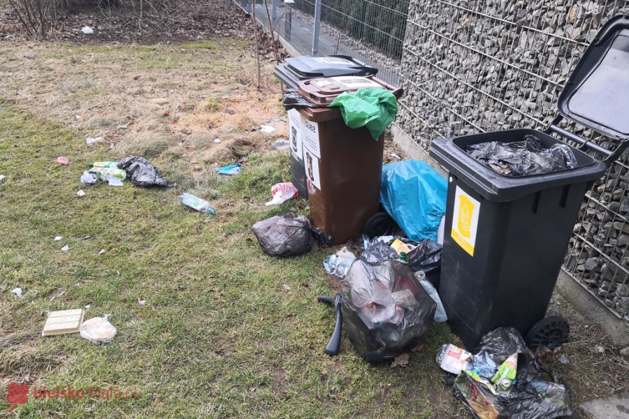 Wiatr wywiewał śmieci z „pustych” kubłów. Udana reklamacja w SUEZ - foto