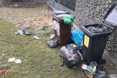Wiatr wywiewał śmieci z „pustych” kubłów. Udana reklamacja w SUEZ - foto