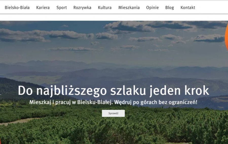 Zamieszkaj w Bielsku-Białej! Pieniądze na kolejną edycję kampanii