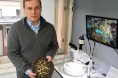 Cenna kolekcja na Komorowickiej. Diamenty z Beskidów