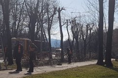 Nowe stanowisko w Ratuszu? Jasna deklaracja prezydenta