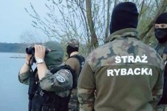 Mafia rybna na jeziorach. Specgrupa ściga kłusowników w dzień i w nocy