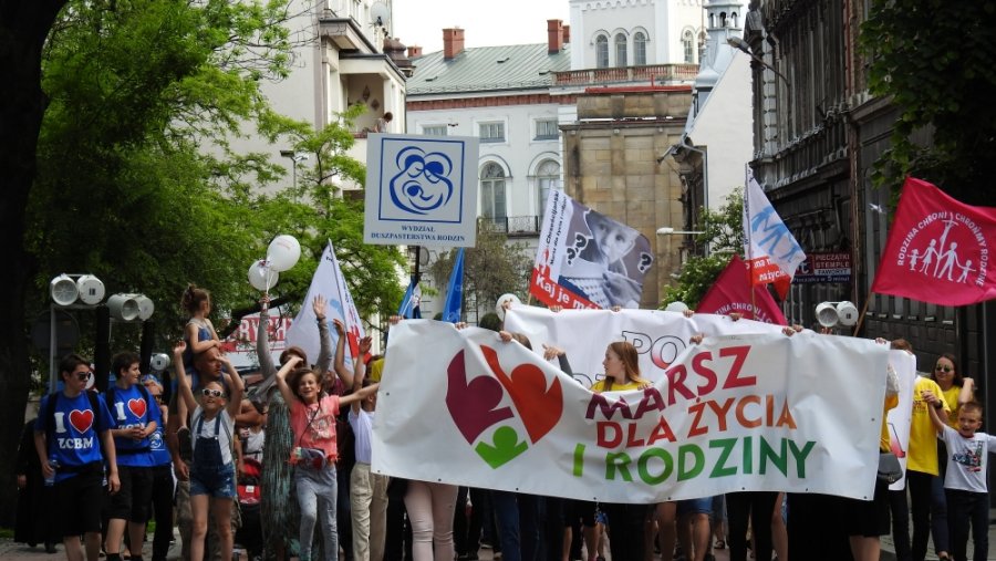 Radosny marsz ulicami Bielska-Białej. Manifestacja z udziałem kilkuset osób - foto