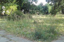 Opłakany stan miejskich skwerów. Opaska ratunkowa na wszystko ZDJĘCIA