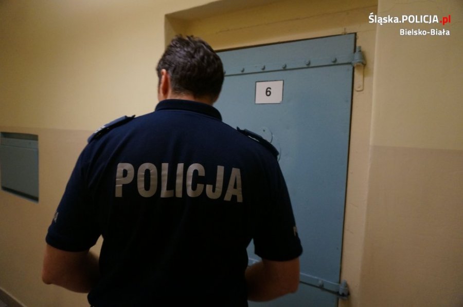 Chuligan demolował przystanki. "Wyczyn" nagrywał jego brat