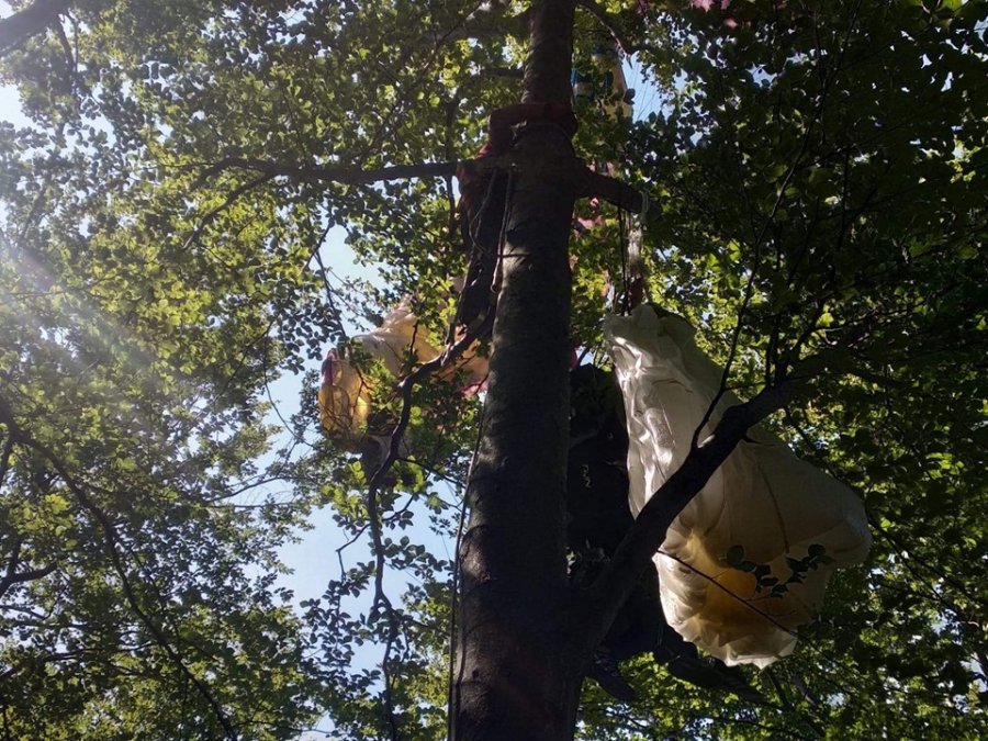 Wypadek paralotni na górze Żar. Pilot z pasażerem utknęli na drzewie - foto